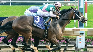 Jockeys boricuas ganan 7 de 8 carreras y dos triplican en este hipódromo