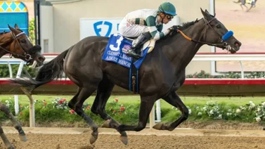 Bob Baffert inscribe yegua contra los machos en el Pacific Classic (G1)