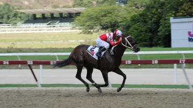 Este ejemplar que corre en la primera carrera ajusta de forma extraordinaria
