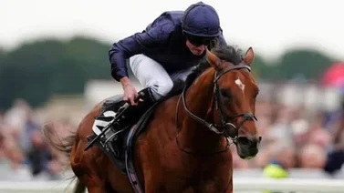 El mejor caballo del mundo y el mejor jockey del mundo van a la Breeders' Cup Classic 