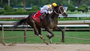 Potro de $1.300.000 de Gustavo Delgado nominado a stakes Grado 1 esta semana Potro de $1.300.000 de Gustavo Delgado nominado a stakes Grado 1 esta semana