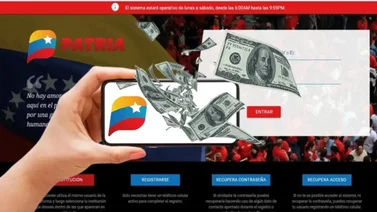 Bonos sistema patria