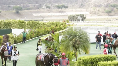  Datos de última hora para el Hipódromo Internacional La Rinconada 1-9-2024