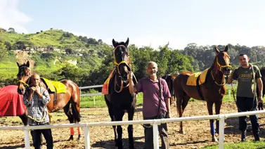 Favoritos de la cátedra para el 5y6 Nacional de la reunión N°33 en el hipódromo La Rinconada Favoritos de la cátedra para el 5y6 Nacional de la reunión N°33 en el hipódromo La Rinconada