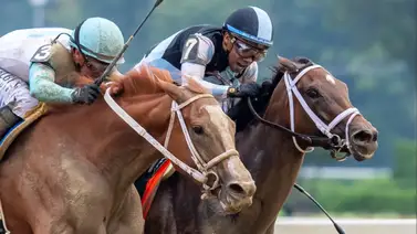 Javier Castellano rueda aparatosamente en Saratoga en la recta final Javier Castellano rueda aparatosamente en Saratoga en la recta final