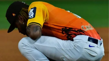 LVBP: Tiburones pospone la apertura en las ventas de sus abonos (+video)
