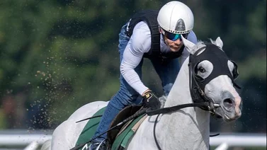 Junior Alvarado se luce con doblete de victorias en Saratoga