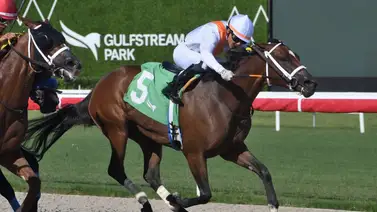 Emisael Jaramillo abre con victoria la jornada hípica sabatina Emisael Jaramillo abre con victoria la jornada hípica sabatina