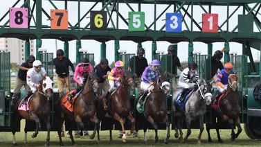 Datos de última hora que incluye el Best Bet y los Picks para la jornada en Gulfstream Park 1-8-2025 