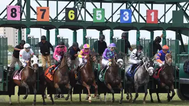 Datos de última hora que incluye el Best Bet y los Picks para la jornada en Gulfstream Park 1-8-2025 Datos de última hora que incluye el Best Bet y los Picks para la jornada en Gulfstream Park 1-8-2025