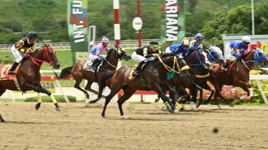 Datos de Última Hora para el Hipódromo La Rinconada 3-8-2025