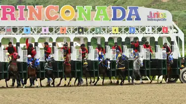 Entrenador que hace su debut en La Rinconada nos cuenta todo sobre esta yegua a participar en el 5y6 dominical (+Video) Entrenador que hace su debut en La Rinconada nos cuenta todo sobre esta yegua a participar en el 5y6 dominical (+Video)