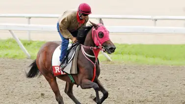 Jockey con experiencia internacional anuncia su retiro temporalmente como látigo en La Rinconada Jockey con experiencia internacional anuncia su retiro temporalmente como látigo en La Rinconada