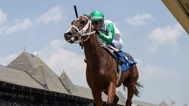 Emisael Jaramillo y Javier Castellano se llevan los Stakes del domingo en Saratoga