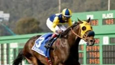 Muere jockey ganador de Stakes de Estados Unidos 