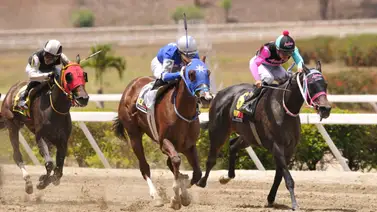 ¿Qué le pasó a Gran Azabache? Esto fue lo que dijo su jockey a los comisarios del INH ¿Qué le pasó a Gran Azabache? Esto fue lo que dijo su jockey a los comisarios del INH