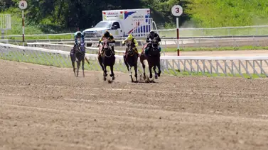 Recta Final: “Pocho" Lugo y Aray igualados en el meeting a falta de cuatro reuniones Recta Final: “Pocho" Lugo y Aray igualados en el meeting a falta de cuatro reuniones