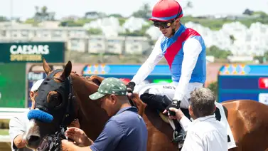 Buetane demostró porque costó $1.150.000 en las ventas selectas de Ocala Buetane demostró porque costó $1.150.000 en las ventas selectas de Ocala