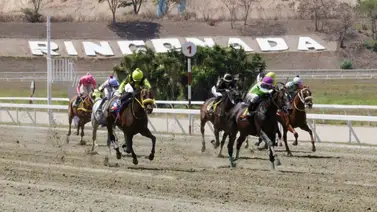 El segundo meeting llega a la reunión 30 con la mira en La Gala Hípica de Caracas El segundo meeting llega a la reunión 30 con la mira en La Gala Hípica de Caracas