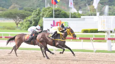 Nieta de Champlain debuta en el 2025 luego de 287 días sin correr en La Rinconada Nieta de Champlain debuta en el 2025 luego de 287 días sin correr en La Rinconada