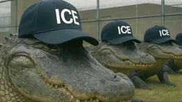 Alligator Alcatraz: Un mes de controversias en la detención migratoria
