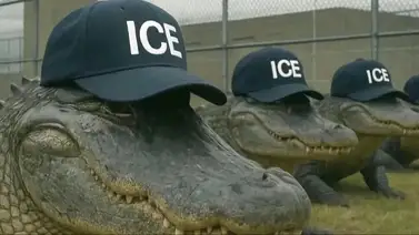Alligator Alcatraz: Un mes de controversias en la detención migratoria Alligator Alcatraz: Un mes de controversias en la detención migratoria