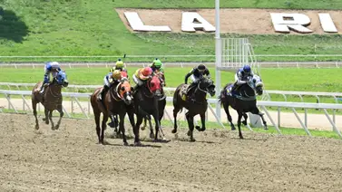 Hija de la yegua madre Otra Melodía vuelve a correr luego de 196 días con entrenador nuevo Hija de la yegua madre Otra Melodía vuelve a correr luego de 196 días con entrenador nuevo