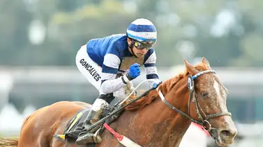 Jinete brasileño ha sido invitado a correr en el World All Star Jockeys en Japón Jinete brasileño ha sido invitado a correr en el World All Star Jockeys en Japón