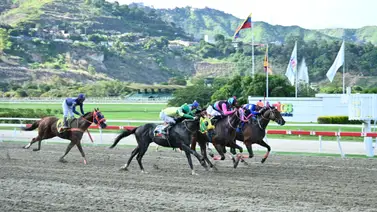 Nieta de un ganador del Clásico José Antonio Páez vuelve a correr después de 126 días Nieta de un ganador del Clásico José Antonio Páez vuelve a correr después de 126 días