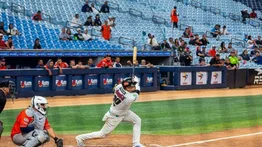 LVBP: ¿Qué cátchers tendrán Leones del Caracas tras el cambio de Francisco Arcia?