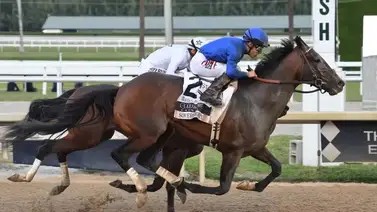 Sovereignty lidera el Ranking Clásico 2025 clasificatorio para la Breeders’ Cup Classic G1 Sovereignty lidera el Ranking Clásico 2025 clasificatorio para la Breeders’ Cup Classic G1