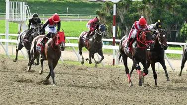 Última hora: Así queda el ajuste de la línea de Gaceta Hípica para el 5y6 de la R30 Última hora: Así queda el ajuste de la línea de Gaceta Hípica para el 5y6 de la R30