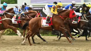 Ojo con este dato: El ajuste cómodo de la sorpresa de Gaceta Hípica podría ganar en el 5y6 dominical Ojo con este dato: El ajuste cómodo de la sorpresa de Gaceta Hípica podría ganar en el 5y6 dominical