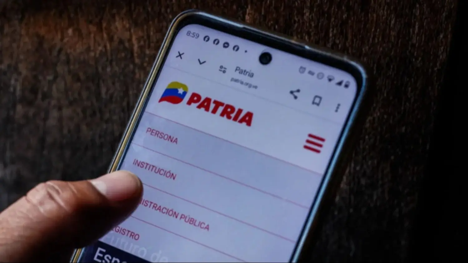 Verificación en el sistema Patria