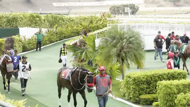 Atención: Descubre la potra que logró el mejor ajuste previo a su competencia en la R30 Atención: Descubre la potra que logró el mejor ajuste previo a su competencia en la R30