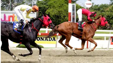 El dato imperdible: A esta hora te revelamos los ejemplares con más fuerzas en La Rinconada. El dato imperdible: A esta hora te revelamos los ejemplares con más fuerzas en La Rinconada.