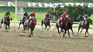 Aquí tienes una opción diferente de Sweet Genesis y Gran Marisela que te va a pagar un buen dividendo Aquí tienes una opción diferente de Sweet Genesis y Gran Marisela que te va a pagar un buen dividendo