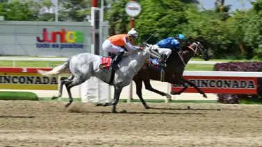 No apuestes sin ver: Descubre al ejemplar que da por video y correrá en la segunda válida del 5y6 dominical No apuestes sin ver: Descubre al ejemplar que da por video y correrá en la segunda válida del 5y6 dominical