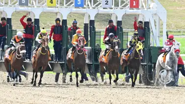 Preparada para ganar: Yegua que en su última fue favorita logró uno de los mejores ajustes del miércoles en La Rinconada Preparada para ganar: Yegua que en su última fue favorita logró uno de los mejores ajustes del miércoles en La Rinconada