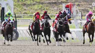 No es un rumor: Descubre el dato más corrido a participa en el 5y6 de La Rinconada No es un rumor: Descubre el dato más corrido a participa en el 5y6 de La Rinconada