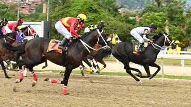 Lo que todos esperan: Te revelamos el “robo de toda Venezuela” que tiene nombre de yegua Lo que todos esperan: Te revelamos el “robo de toda Venezuela” que tiene nombre de yegua