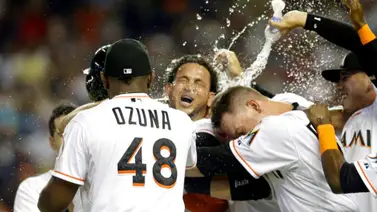 LVBP: Leones del Caracas anuncia la firma de un lanzador con no hitter en Grandes Ligas LVBP: Leones del Caracas anuncia la firma de un lanzador con no hitter en Grandes Ligas