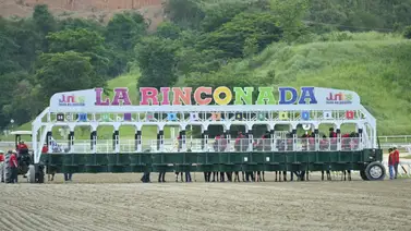 Datos de Última Hora para el Hipódromo La Rinconada 10-8-2025 Datos de Última Hora para el Hipódromo La Rinconada 10-8-2025