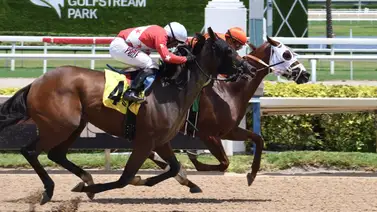 ¡Qué clase de carrera! Emisael Jaramillo en sensacional demostración se coloca a tiro de esta marca por 10 años consecutivos ¡Qué clase de carrera! Emisael Jaramillo en sensacional demostración se coloca a tiro de esta marca por 10 años consecutivos