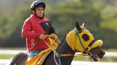 José Gilberto Hernández le gusta este ejemplar con característica de línea para el 5y6 dominical (+Video) José Gilberto Hernández le gusta este ejemplar con característica de línea para el 5y6 dominical (+Video)