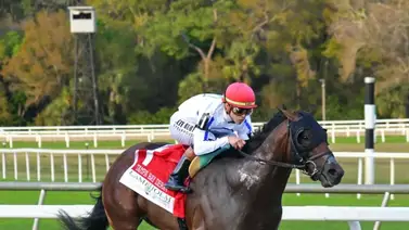 Jinete criollo rompe la taquilla del día en este hipódromo en Estados Unidos Jinete criollo rompe la taquilla del día en este hipódromo en Estados Unidos