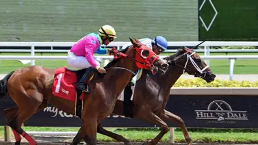 Emisael Jaramillo alcanza este récord en su trayectoria después de su victoria en la carrera inicial dominical en Gulfstream Park Emisael Jaramillo alcanza este récord en su trayectoria después de su victoria en la carrera inicial dominical en Gulfstream Park