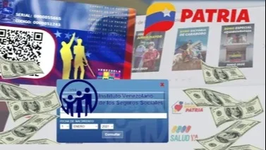 Sistema Patria: Bonos disponibles del 11 al 17 de agosto en Venezuela