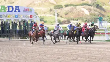 Speed Rating de Gaceta Hípica acierta los seis de la fama Speed Rating de Gaceta Hípica acierta los seis de la fama