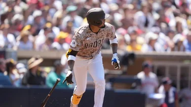 MLB: ¡En lo suyo! Luis Arráez comanda el viejo circuito en este apartado (+Detalles)